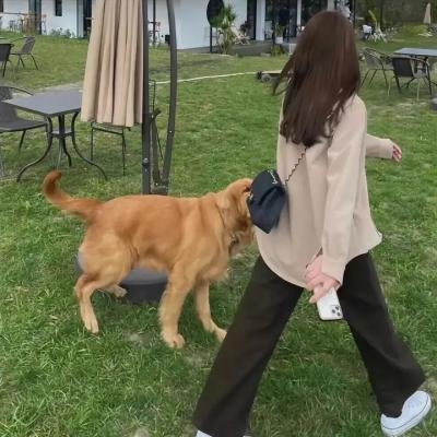 灰姑娘的全新冒险